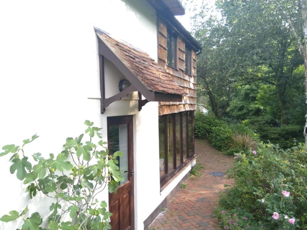 The Woodstore Dunkeswell Exterior foto