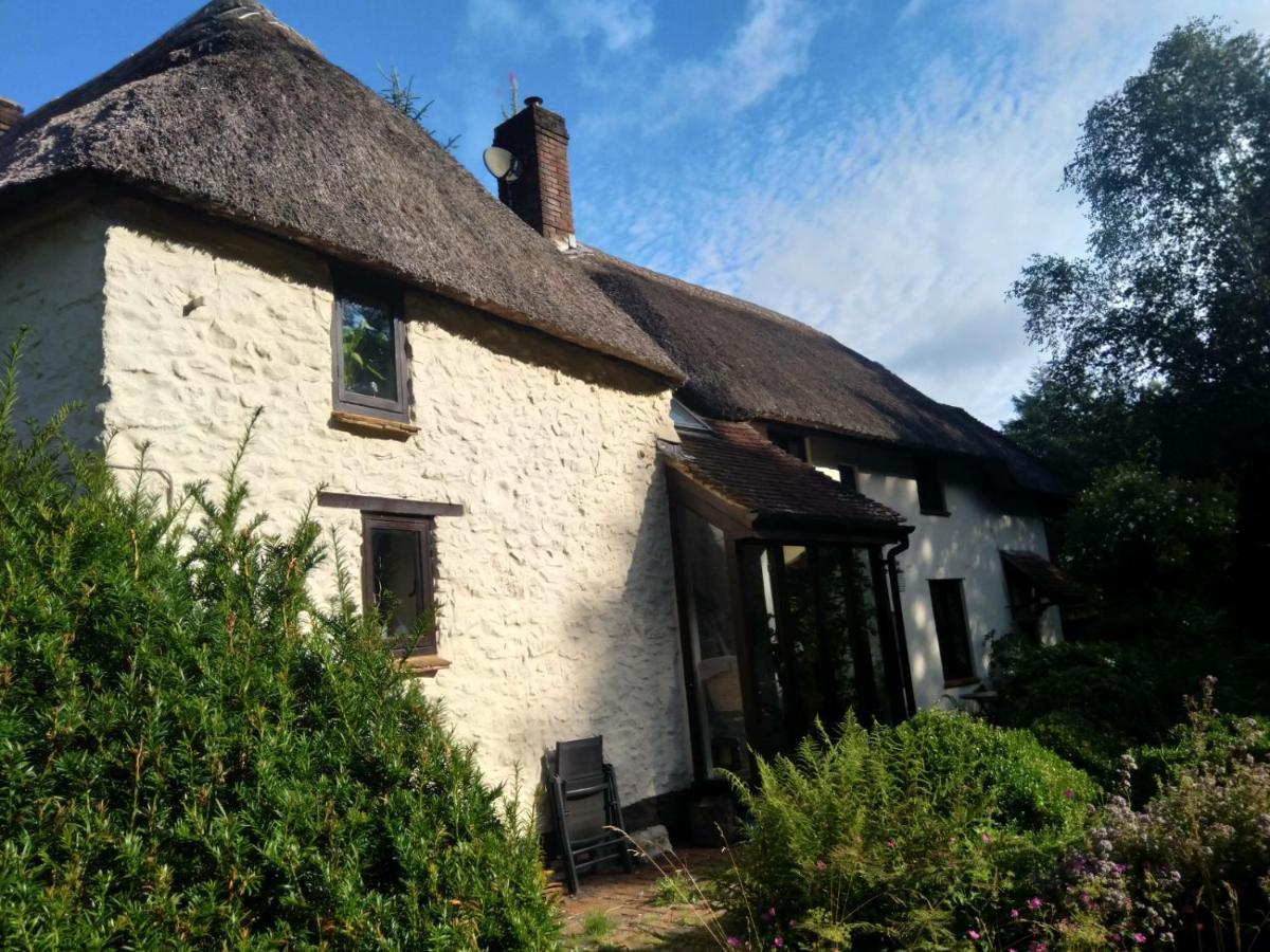 The Woodstore Dunkeswell Exterior foto